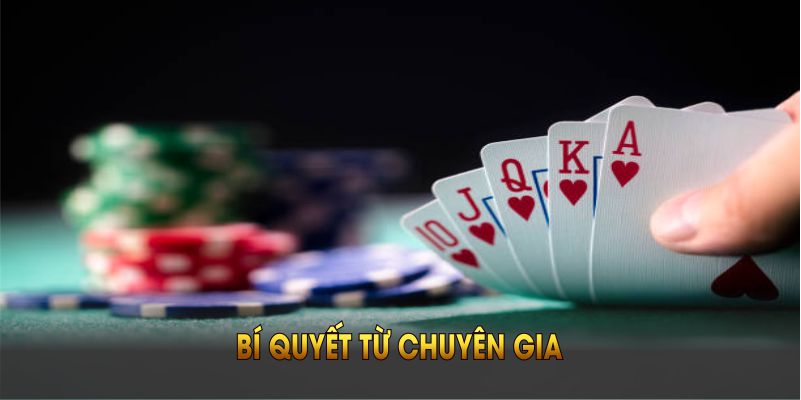 Bí quyết từ chuyên gia giúp bạn đặt cược V8 poker QH88 luôn thắng