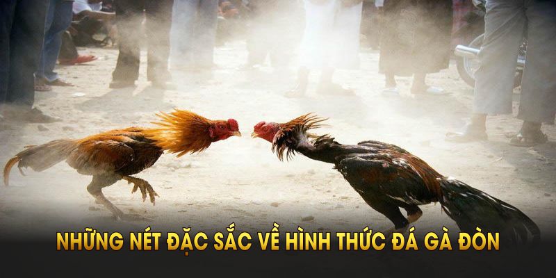Những nét đặc sắc về hình thức đá gà đòn QH88 mà bạn nên biết